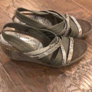 Donald Pilsner Wedges